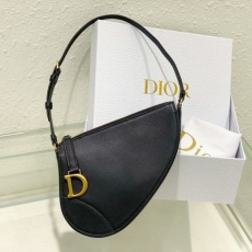 Christian Dior Saddle Bags